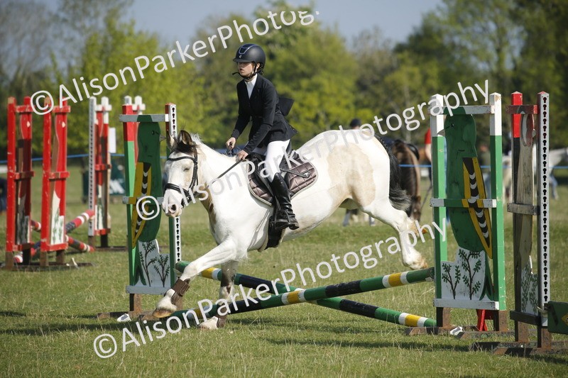 20250427-0311 - Class 12 - Rookie Jumping 40cm