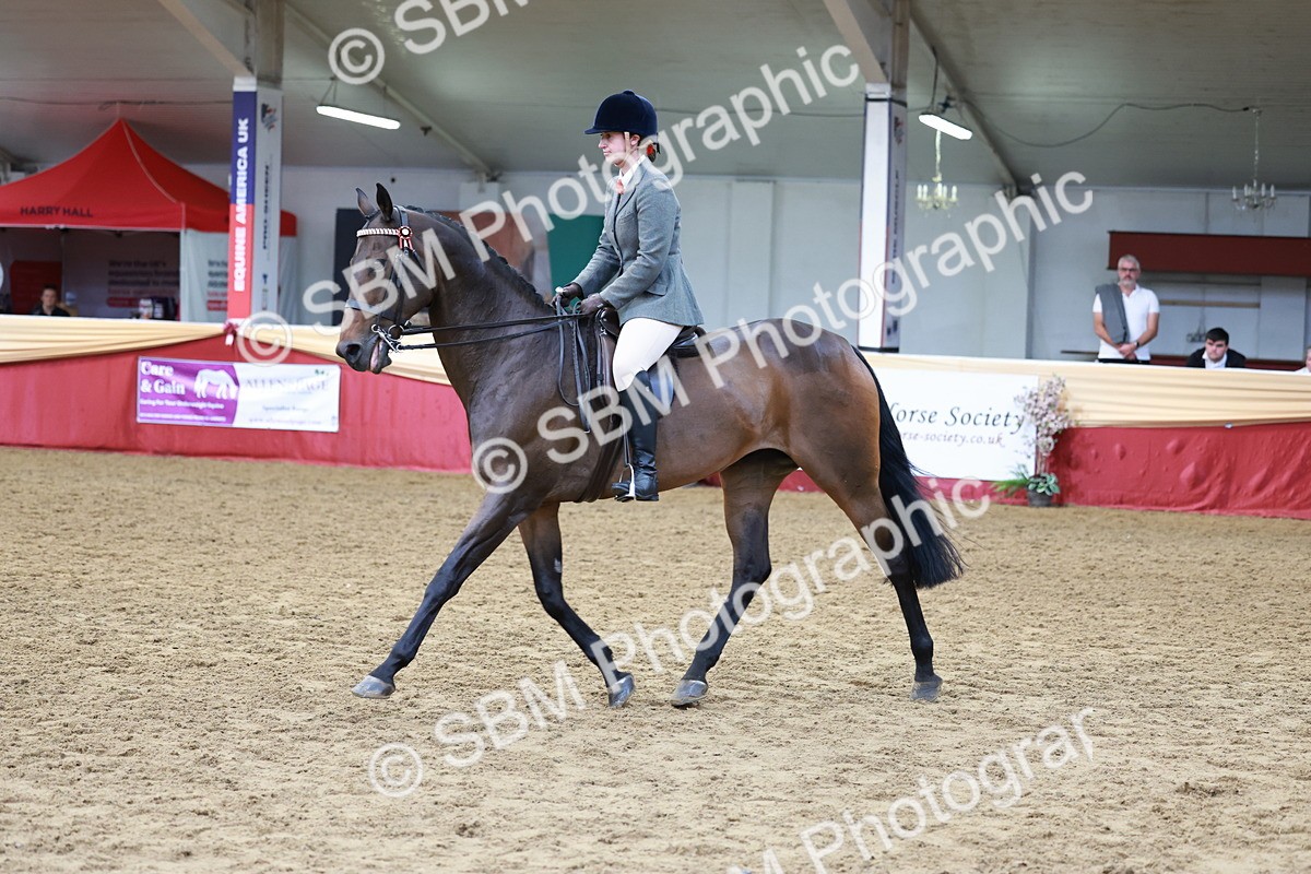 SBM_14960 - Class 108 - Ridden Retired Racehorse
