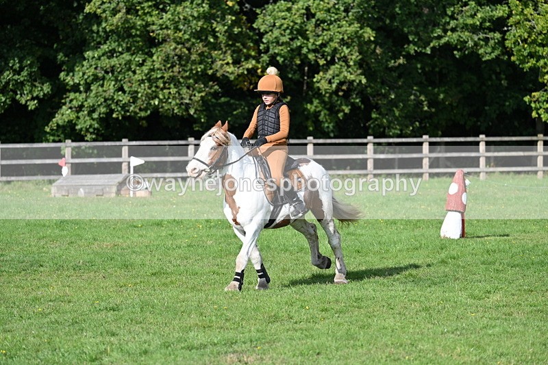 WJ7_3934 - 40cm Time 10:26 to 10:42