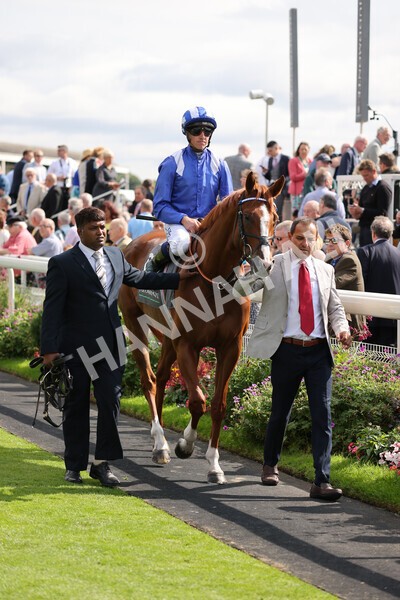 yr18082021r4-55 - Race 4 3.35pm Juddmonte International Stakes (British Champion Series race)