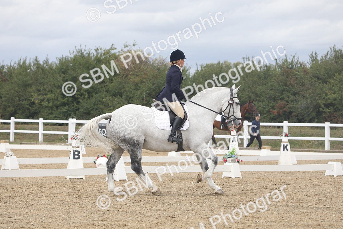 SBM_002494 - Class 5 - Prelim 3 - 11.45-12.55