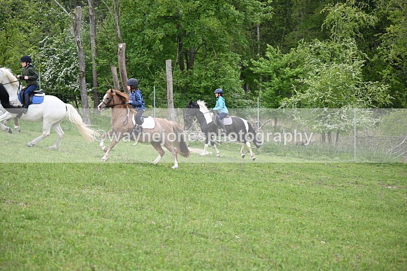 WJ6_3052 - A Camera