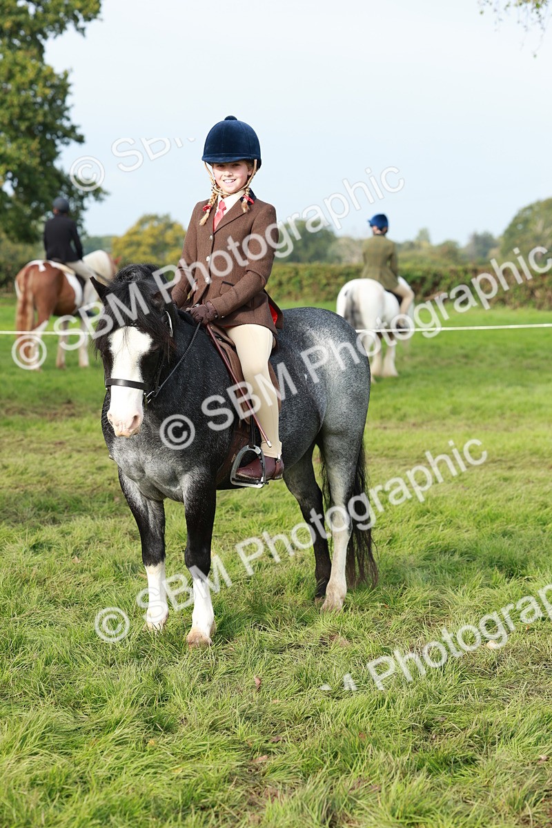 SBM_56438 - S39 - Starters In Hand Showing