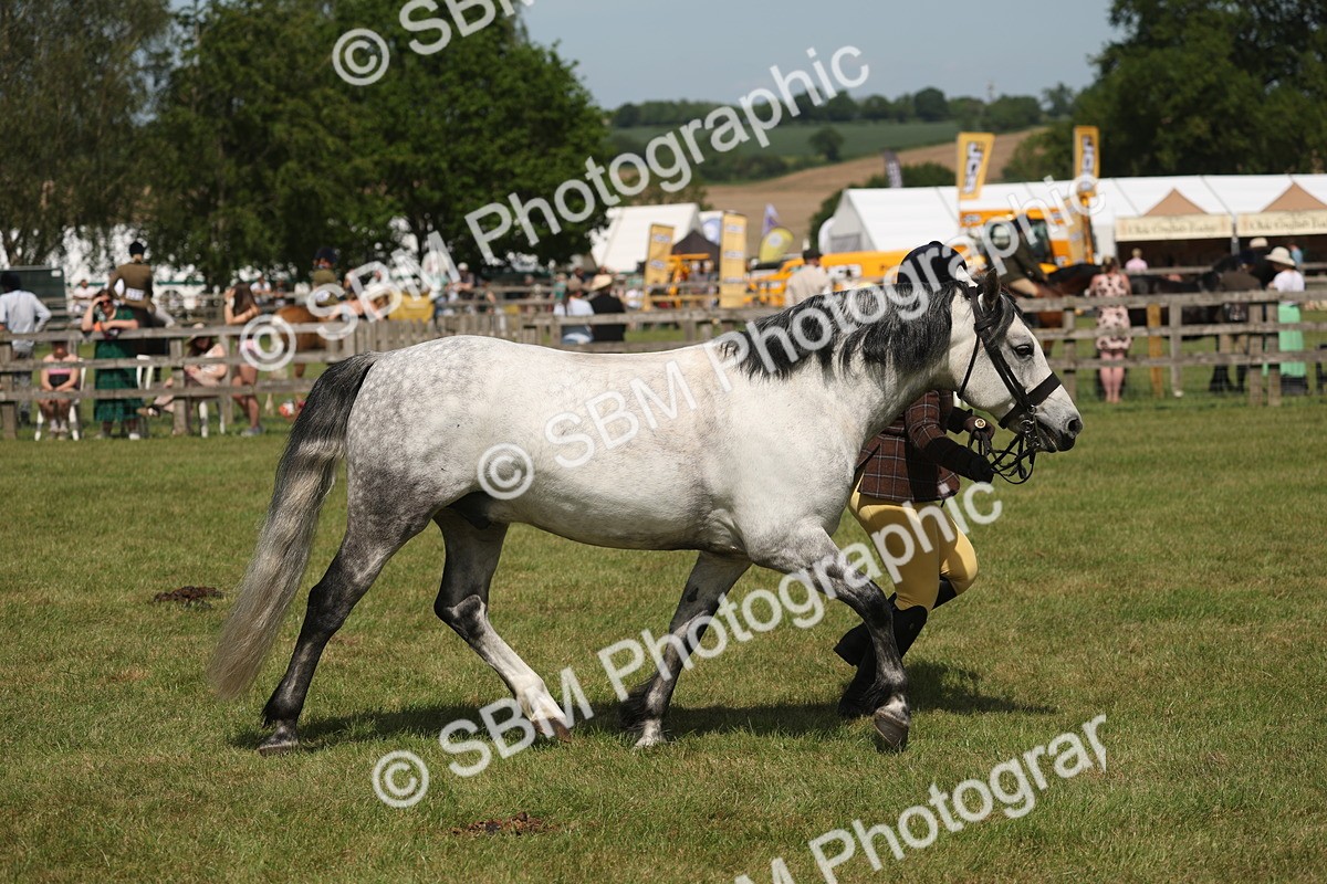 SBM_07635 - Class 26-30 - Mountain and Moorland Ridden