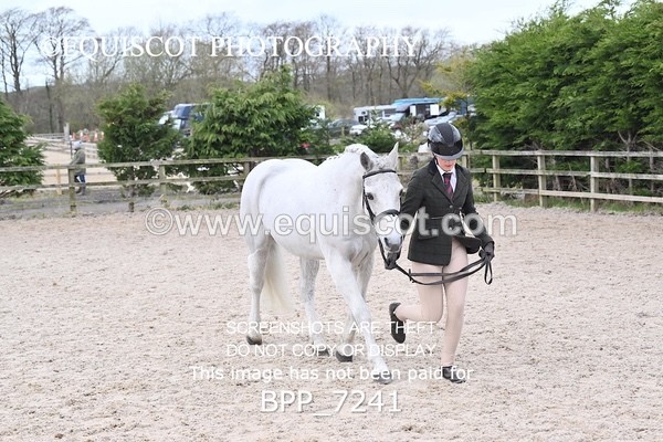 BPP_7241 - RING 1  (RIDDEN HORSES / IN HAND / VETERAN ETC)