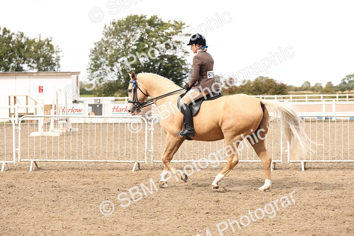 SBM_04230 - Class 54 - Riding Club Horse/Pony