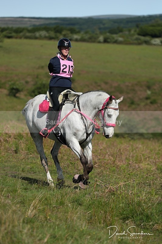 SPXX0934 - 213