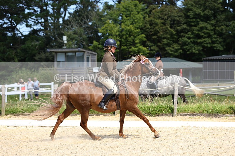 1X9A8351 - Class 13: Arab Ridden