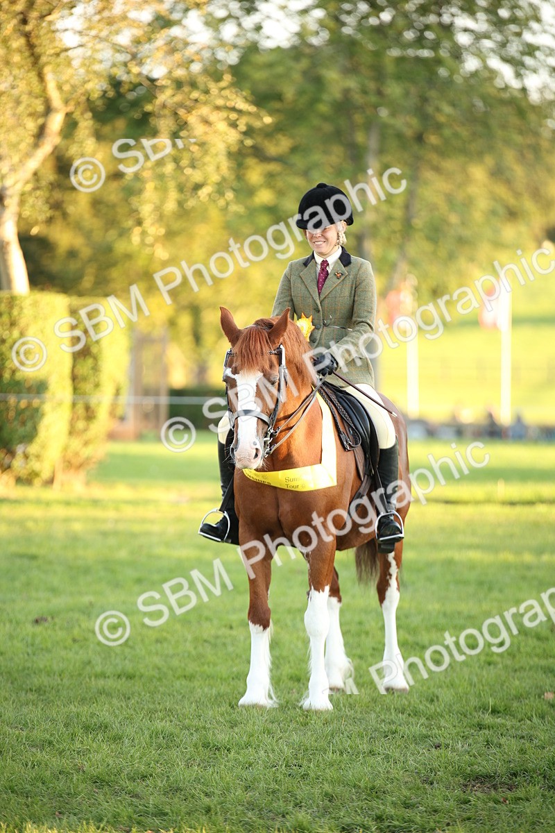 SBM_57055 - Veteran Supreme Championship