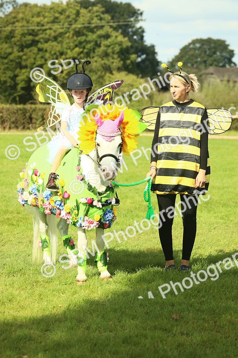 SBM_63523 - S35 - Fancy Dress Showing