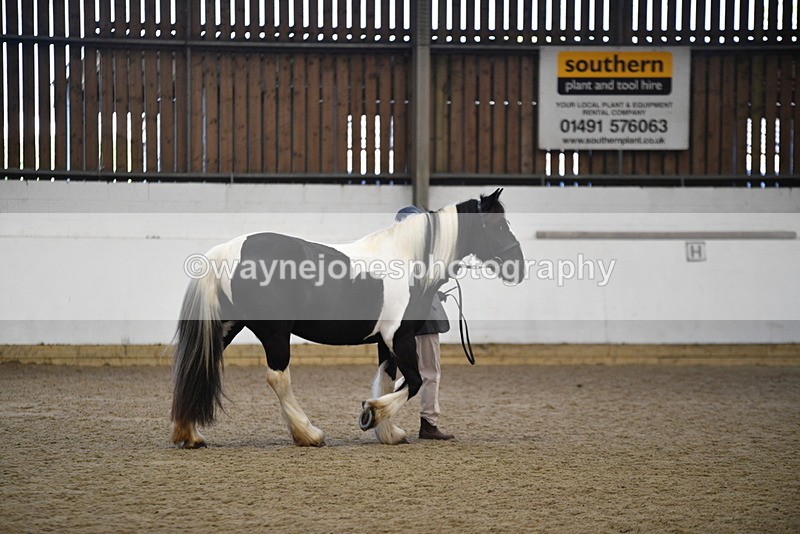 WJ5_5492 - Class 8 In hand cob