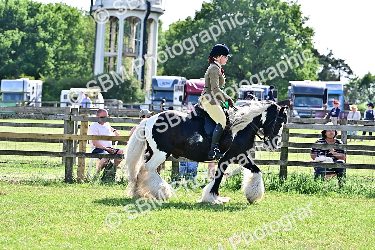 SBM_09458 - Class 63-65 - Traditional Gypsy Cobs In Hand & Ridden