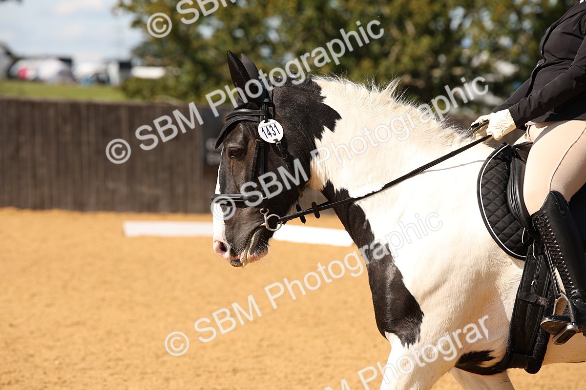 SBM_24126 - D5 - Small Tour Championship - Intro C