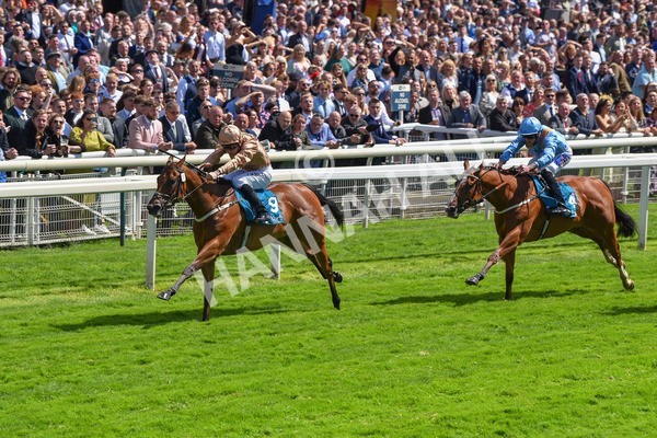 150723-Race 2-Nymphadora-8606 - Race 2 2.35pm John Smith's City Walls Stakes