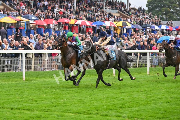 080924-Race 5-Quinault-9324 - Race 5 4.00pm Starman At Tally Ho Stud Garrowby Stakes