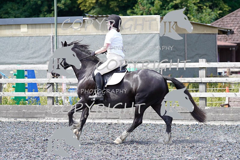 _DSC1319 - JUMPING SHOTS