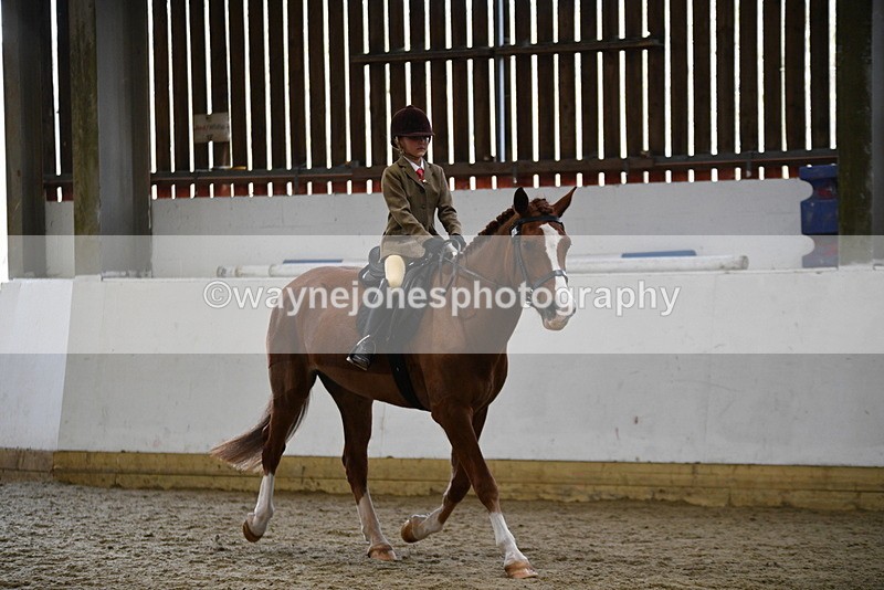 WJ5_6383 - Class 9 Ridden Veteran