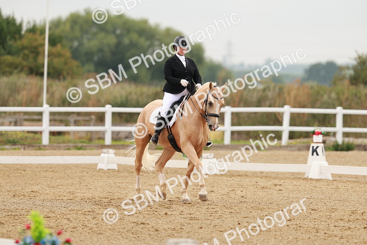 SBM_009100 - Class 12 - Elementary 6 - 9.30-10.34