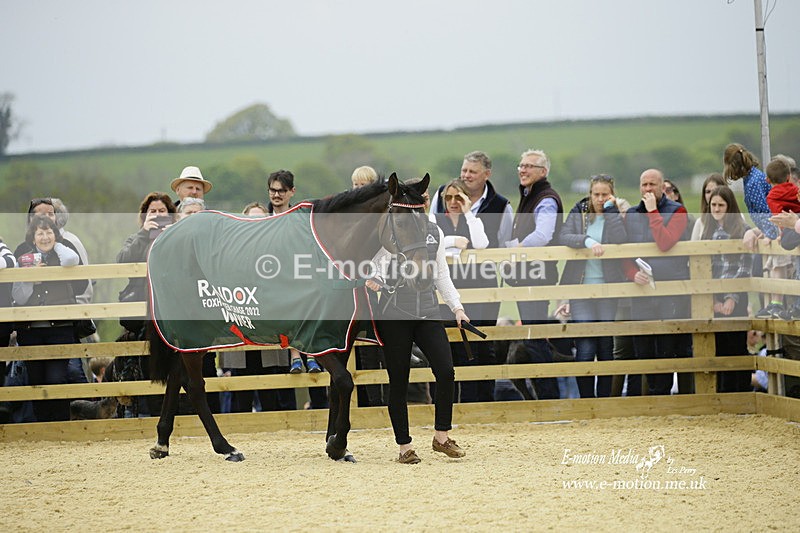 PtP 020522 179 - Mollington Races Point-to-Point 02/05/22