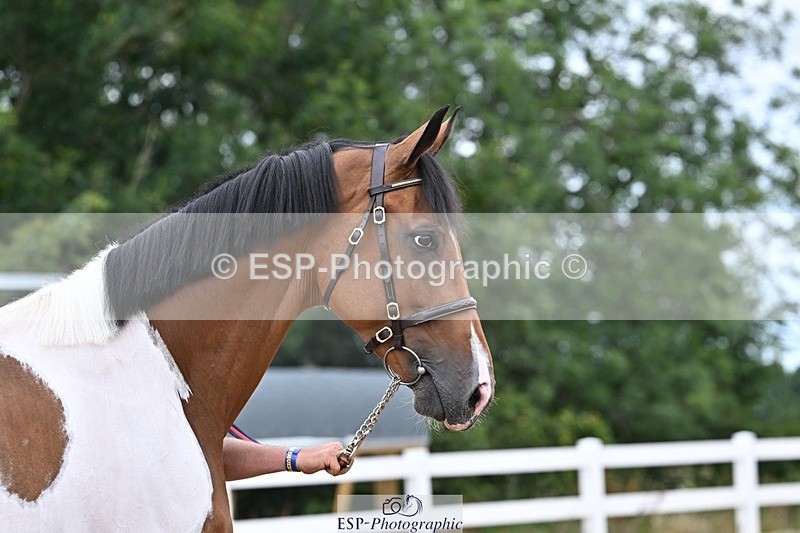 250716-134258-00654 - Trot Up 1.30 to 2.30