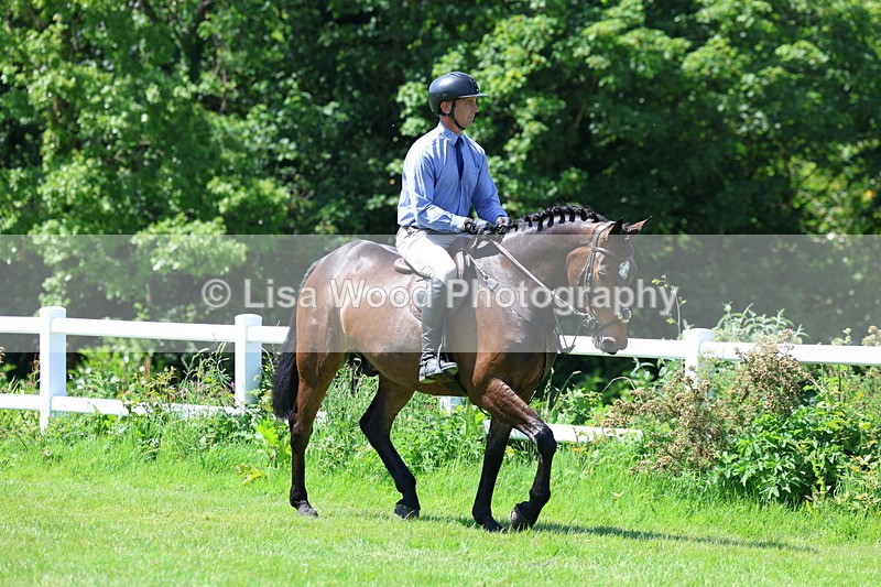 3E7A7167 - Class 30: Novice Working Hunter