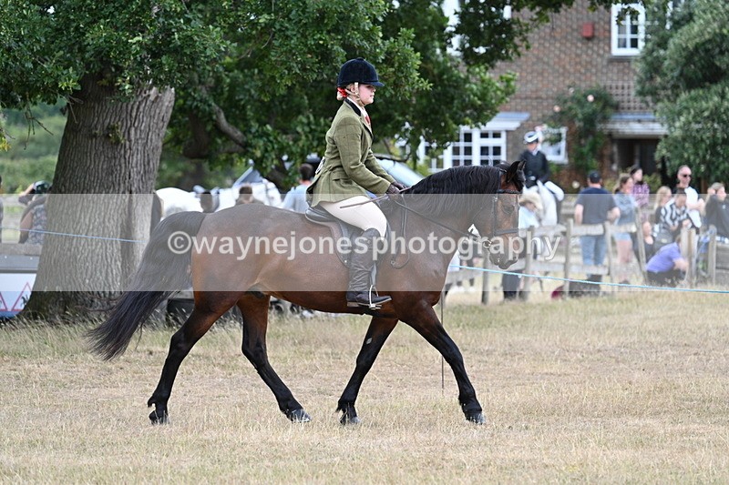 WJ7_0599 - Class 6 Ridden Mountain and Moorland