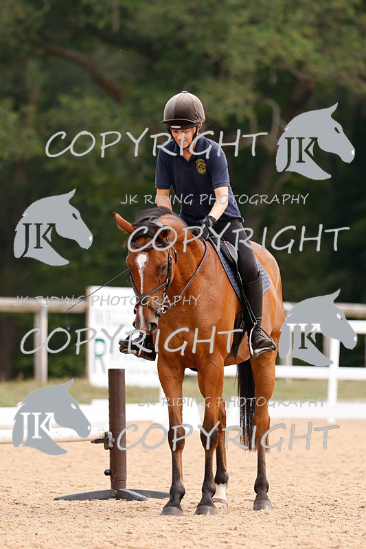 _R6A2696 - Dressage Morning