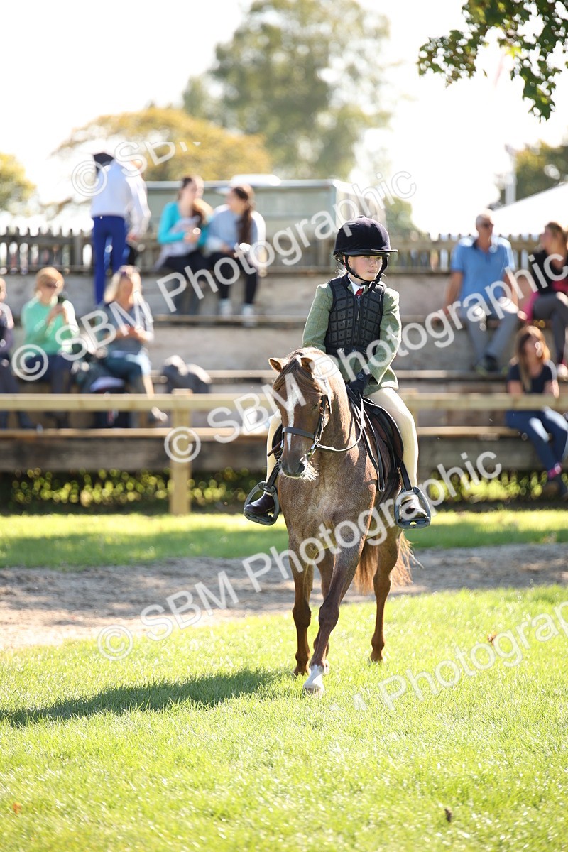 SBM_39018 - S11 - Best Ridden Horse & Pony