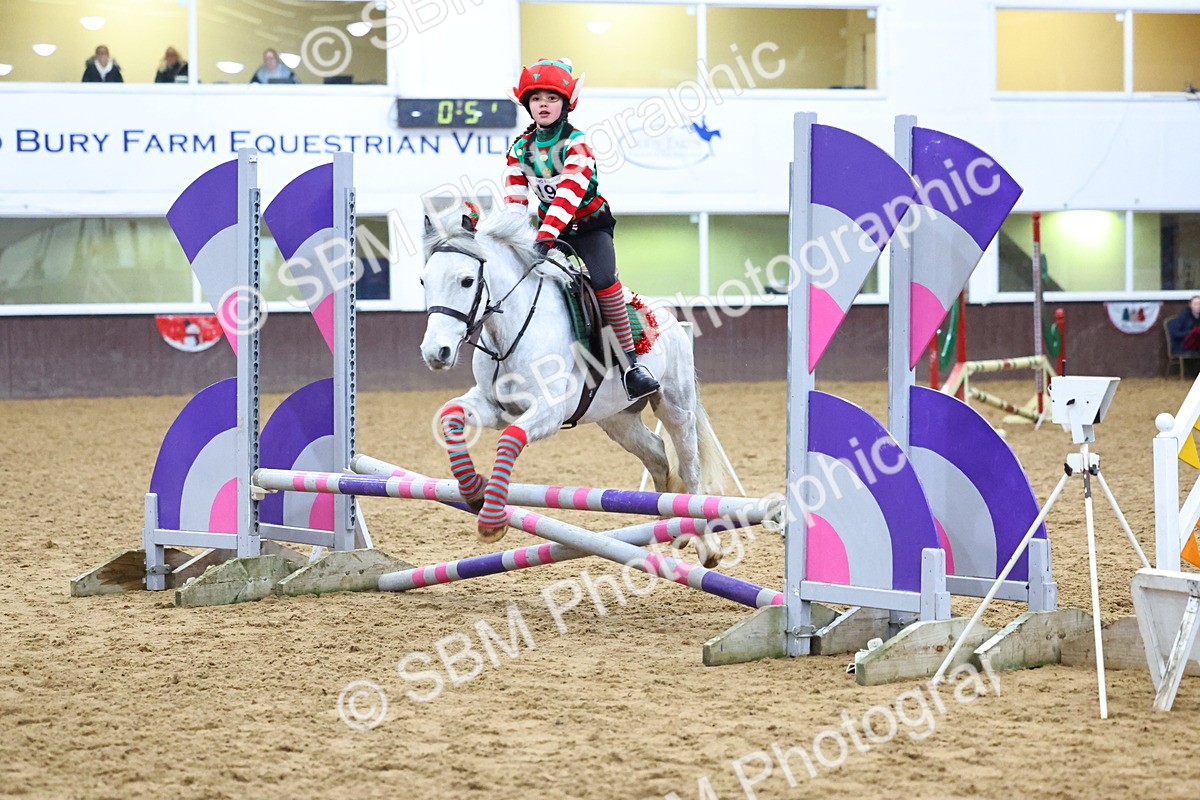 SBM_001341 - Class 3 - Christmas Tree Stakes - 60cm