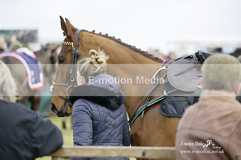 PtP 300122 432 - South Dorset Hunt - Point-to-Point Races 30/01/2022