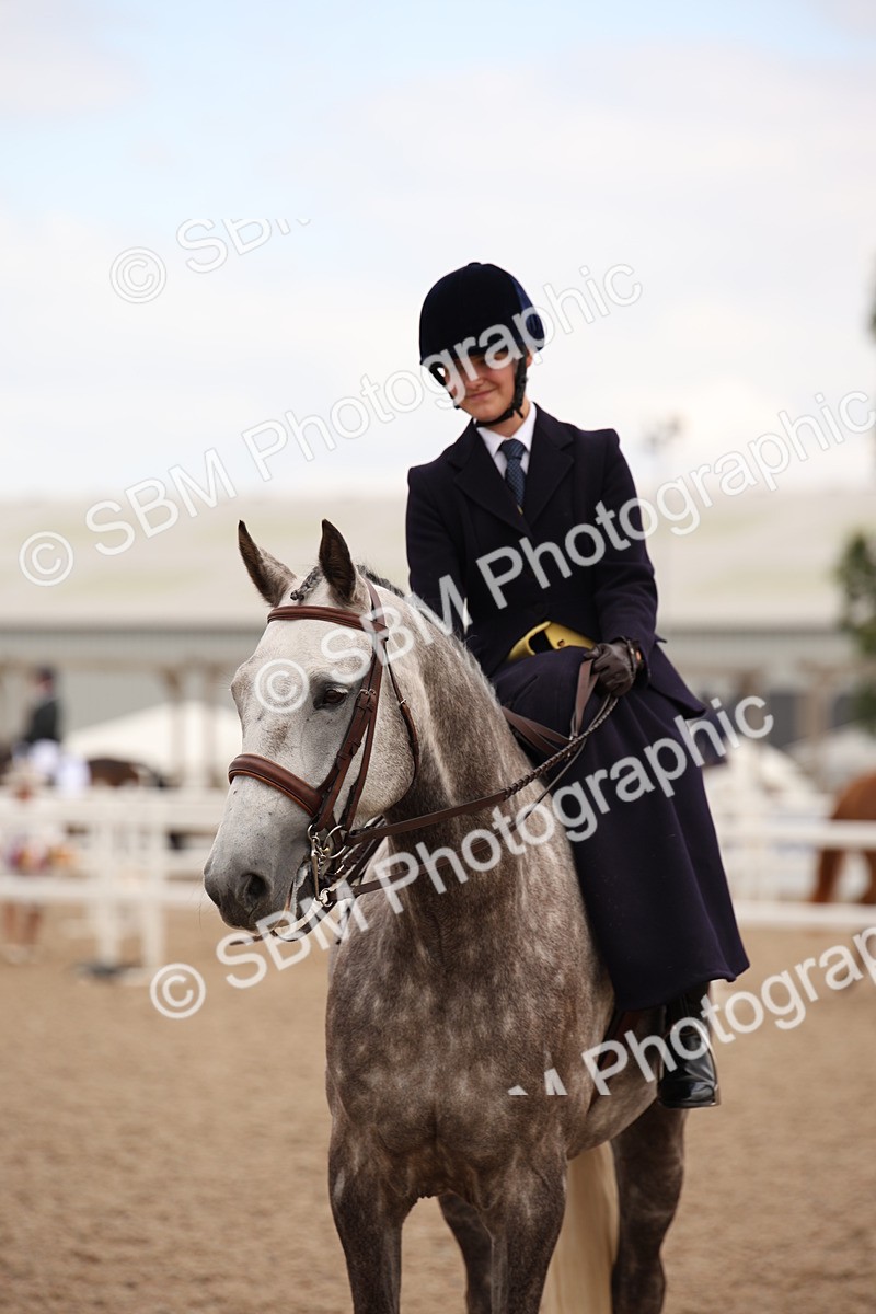 SBM_05498 - Class 22 SSA Equitation