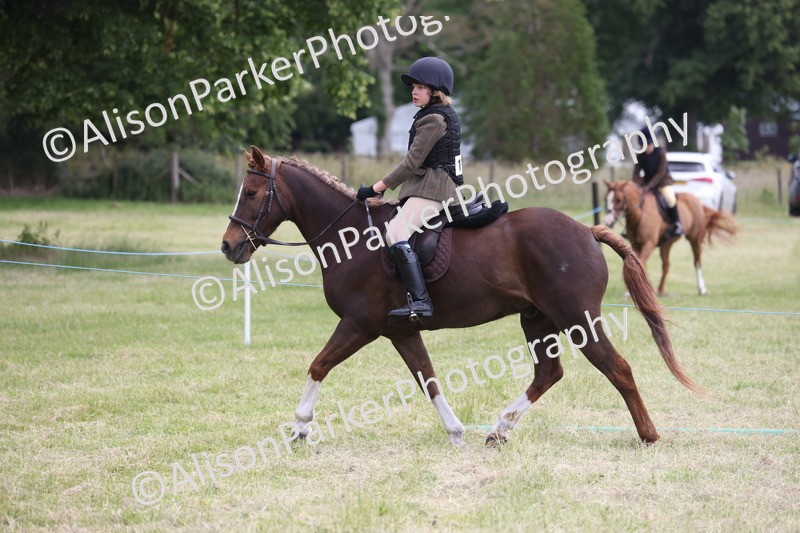 20260614-2752 - Class 22 - Open Working Hunter
