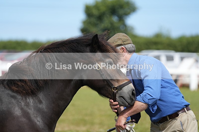 DSC05573 - Class 50: NPS M&M 4 years and over Small Breeds