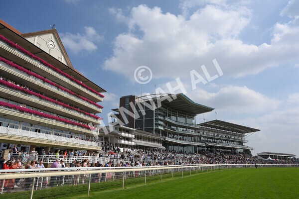 yr05092021r2-16 - Race 2 2.40pm John and Judith Marshall Memorial Stakes