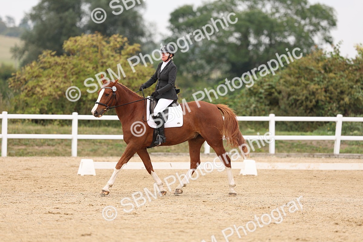 SBM_01442 - Class 9 - Novice 27 Champs