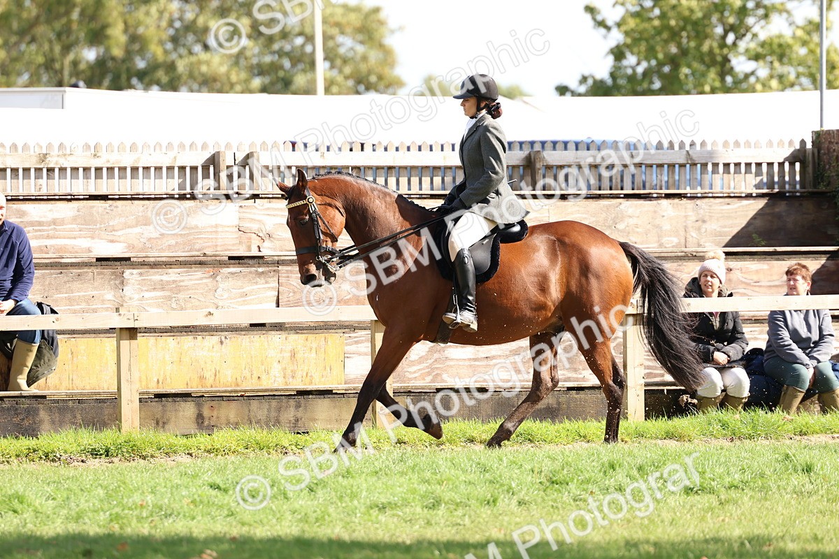 SBM_45300 - S27 - Young Veteran Ridden