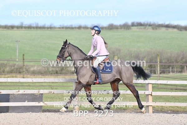 BPP_3273 - CLASS 2  Club/ Unaffiliated 80cms Open