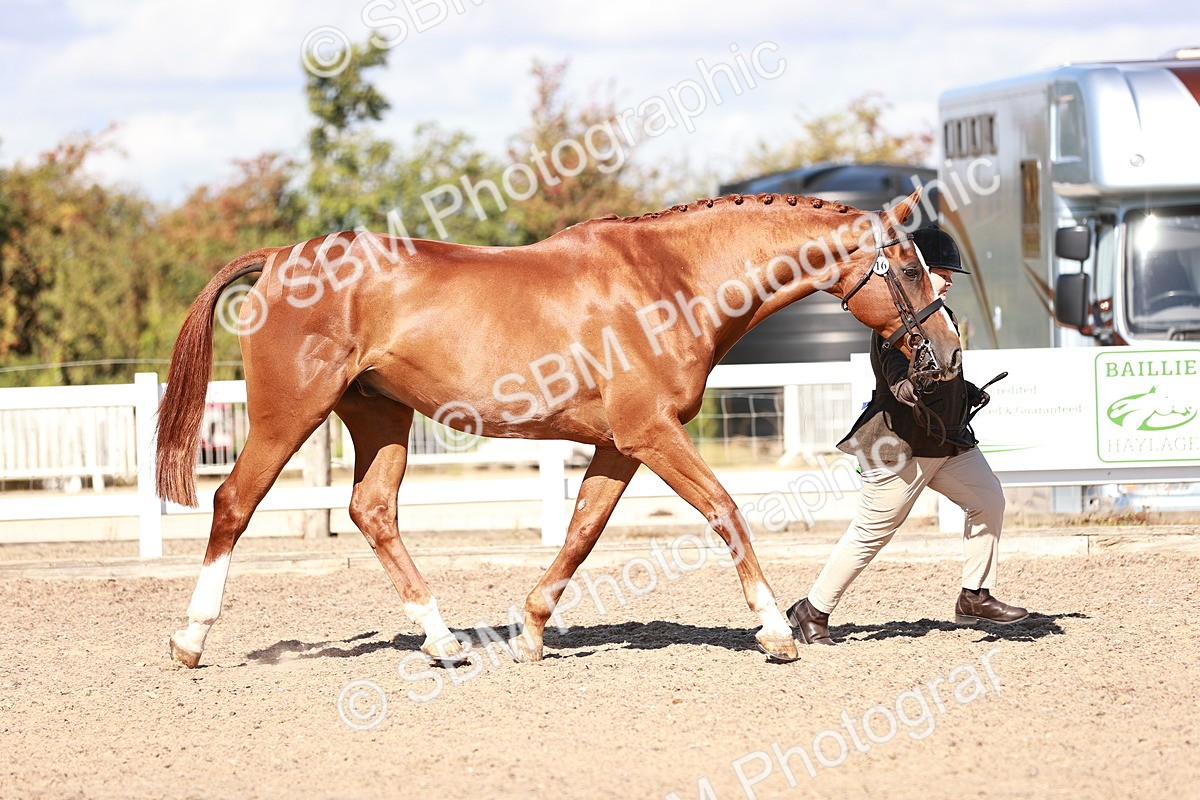 SBM_13327 - class 406 - IH Hunter