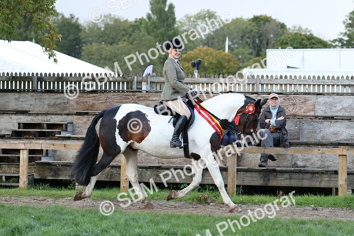 SBM_53409 - Super Supreme Championship (Sat)