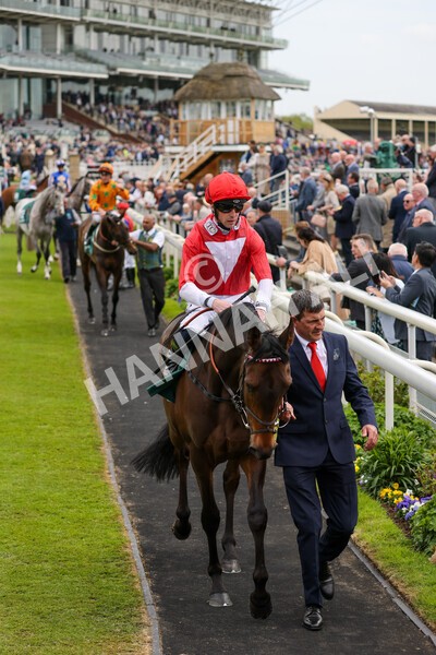 yr13052022r3-14 - Race 3 3.00pm Paddy Power 'I Love Steak' Stakes