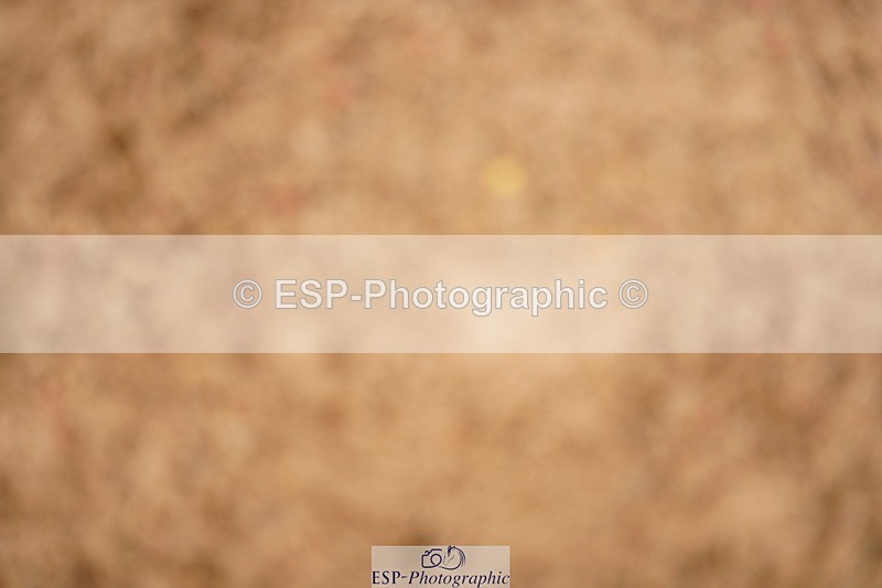 240524A-131518-03811 - Cls 16 Snr 1.20m Open