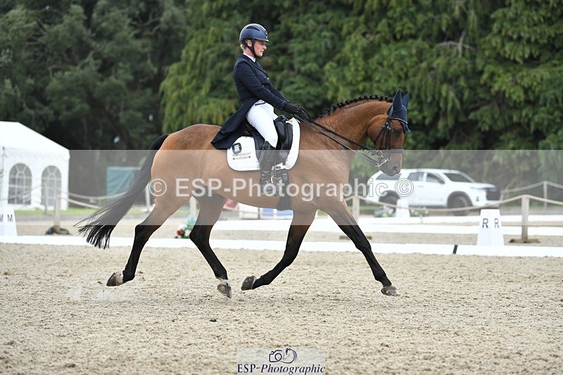 230812-135122-04530 - Cls 7 FEI PSG Bronze