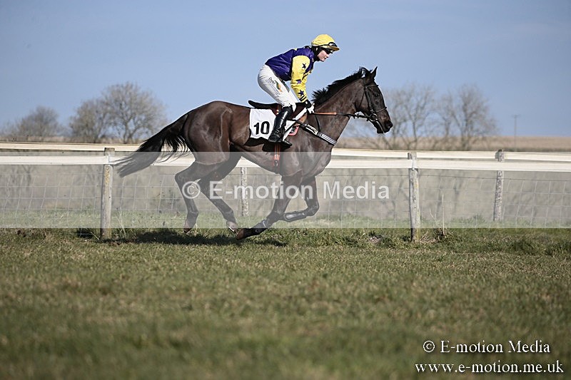 PtP 240218 209 - Vine & Craven Hunt Point-to-Point Barbury racecourse 24/02/18