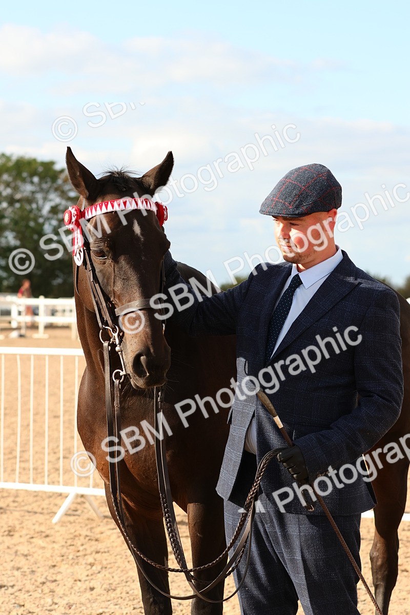 SBM_18393 - Class 318 - IH Part Bred Horse Pony