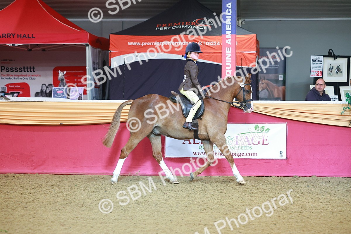SBM_07653 - Class 101 - HOYS Veteran Qualifier - Ridden Diamond