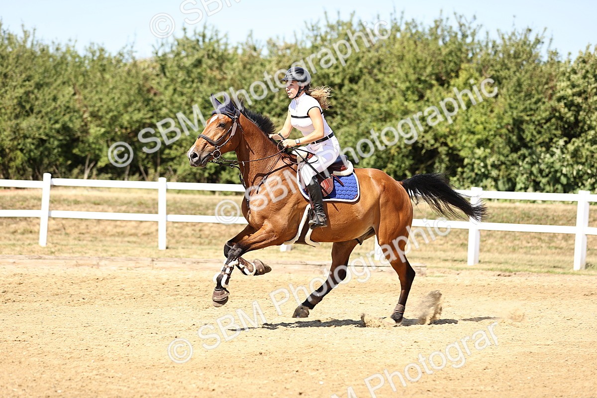 SBM_015290 - Class 16 - Senior foxhunter - 1.20m Open