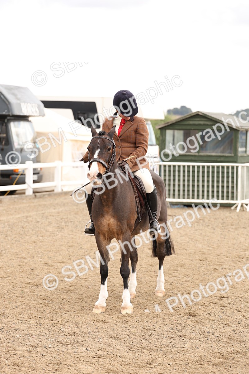 SBM_06205 - Class 57b -  Style & Performance - 60cm (20+)