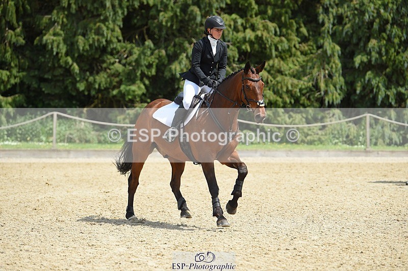 230528-141538-18539 - 103-CLOUDED_LEOPARD-Jessica_Coombes-SUNTrotUp+SJ