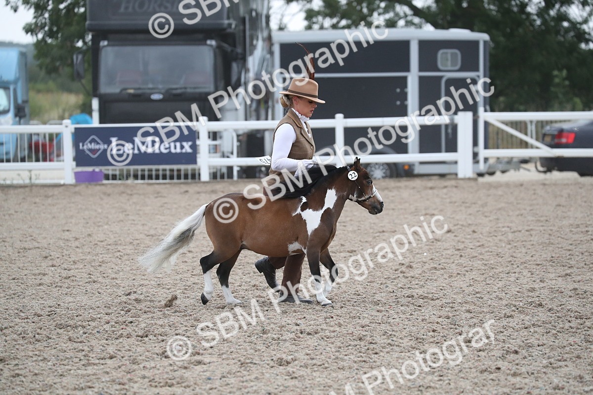 SBM_18025 - Class 317 IH Pure bred Horse/Pony