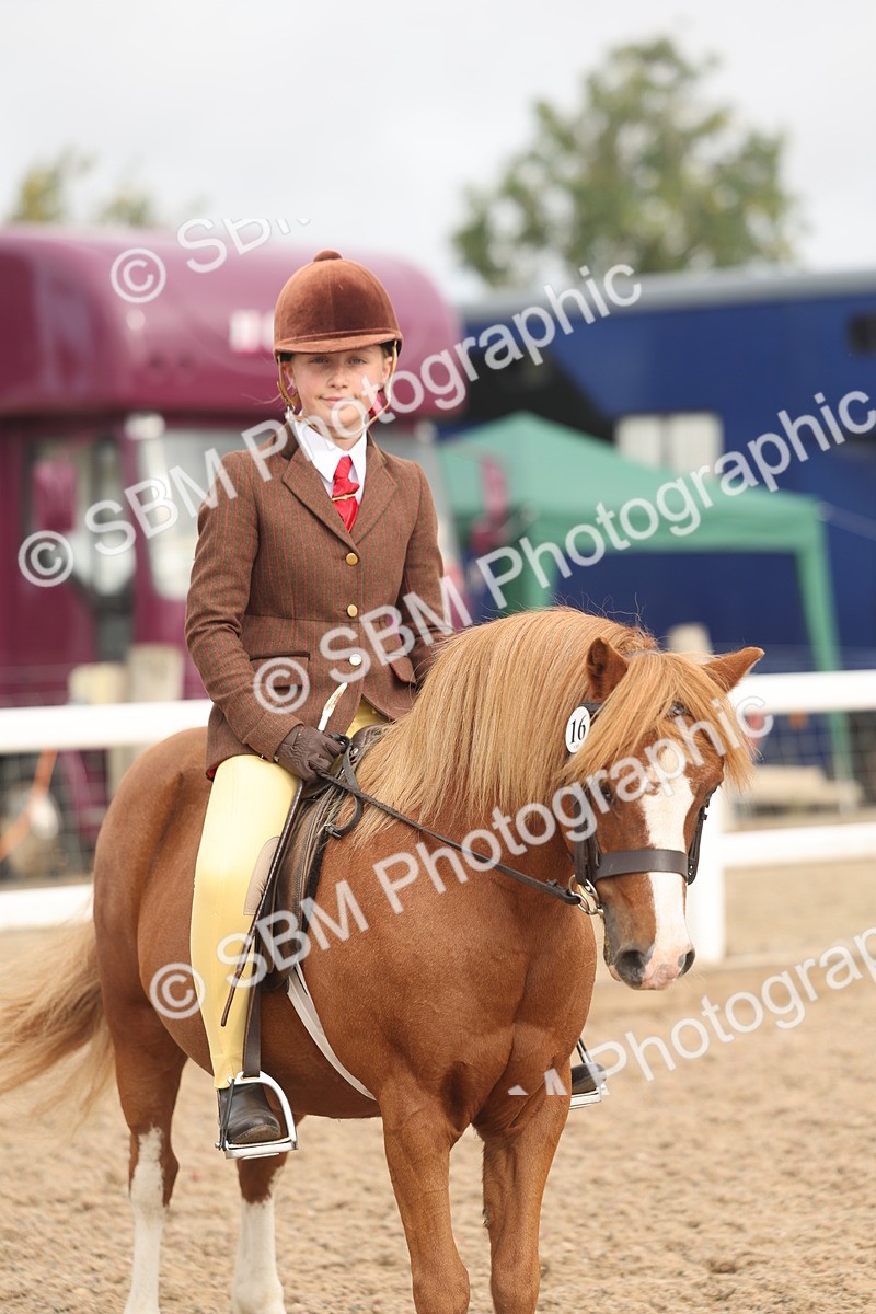 SBM_01987 - Class 14 - Ridden M&M Wildcard